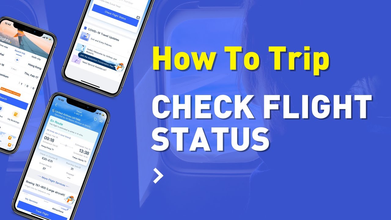 ALL ABOUT FLIGHTS | ACCURATE & FAST | How To Check Flight Status