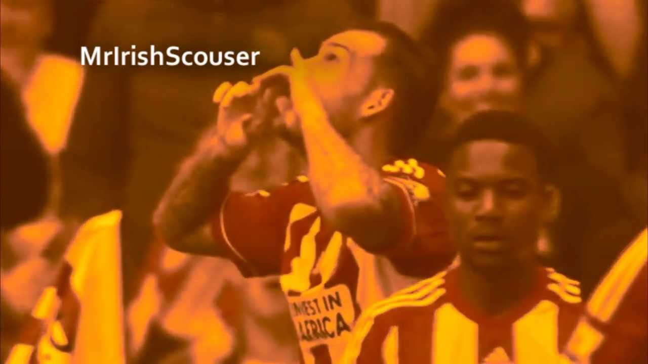 Steven Fletcher - Sunderland Goals - 2012/13