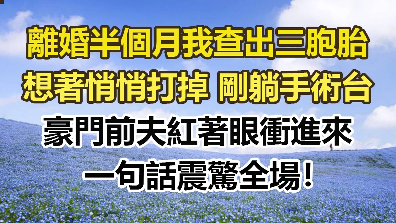 離婚半個月我查出三胞胎，想著悄悄打掉 剛躺手術台，豪門前夫紅著眼衝進來，一句話震驚全場！#幸福敲門 #為人處世 #生活經驗 #情感故事