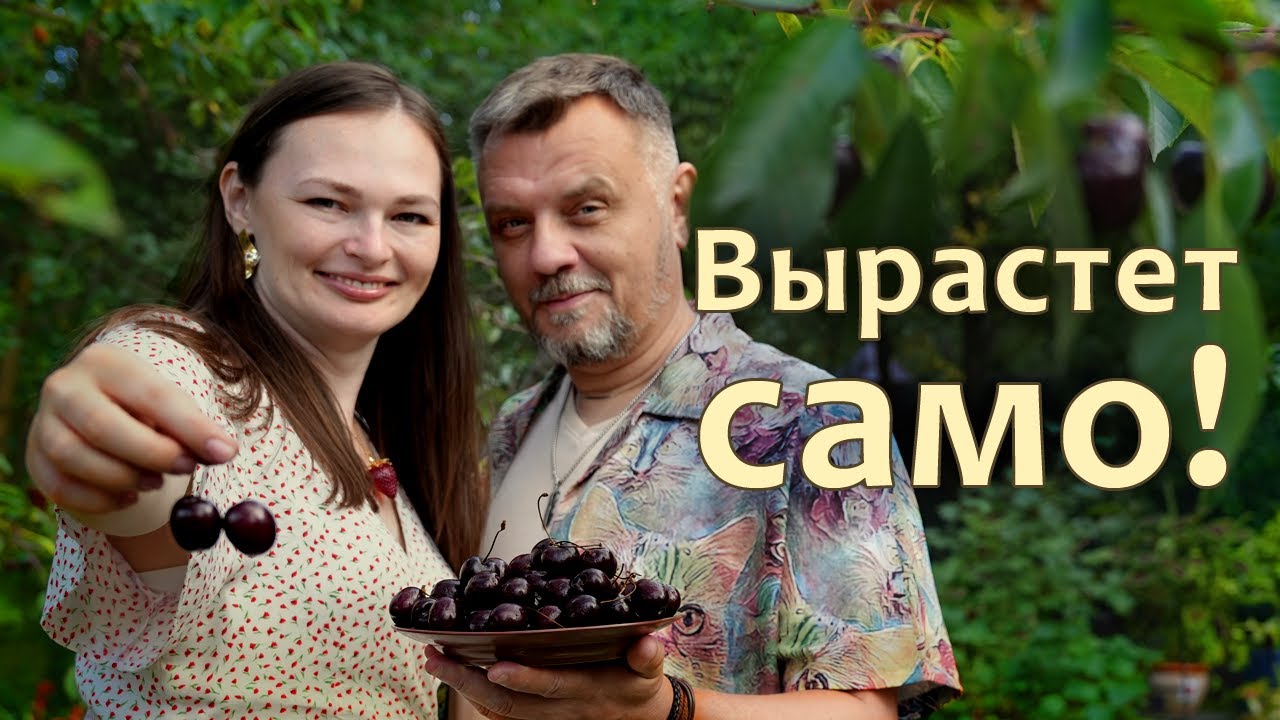 Дача без хлопот: растет само! Малоуходный сад своими руками