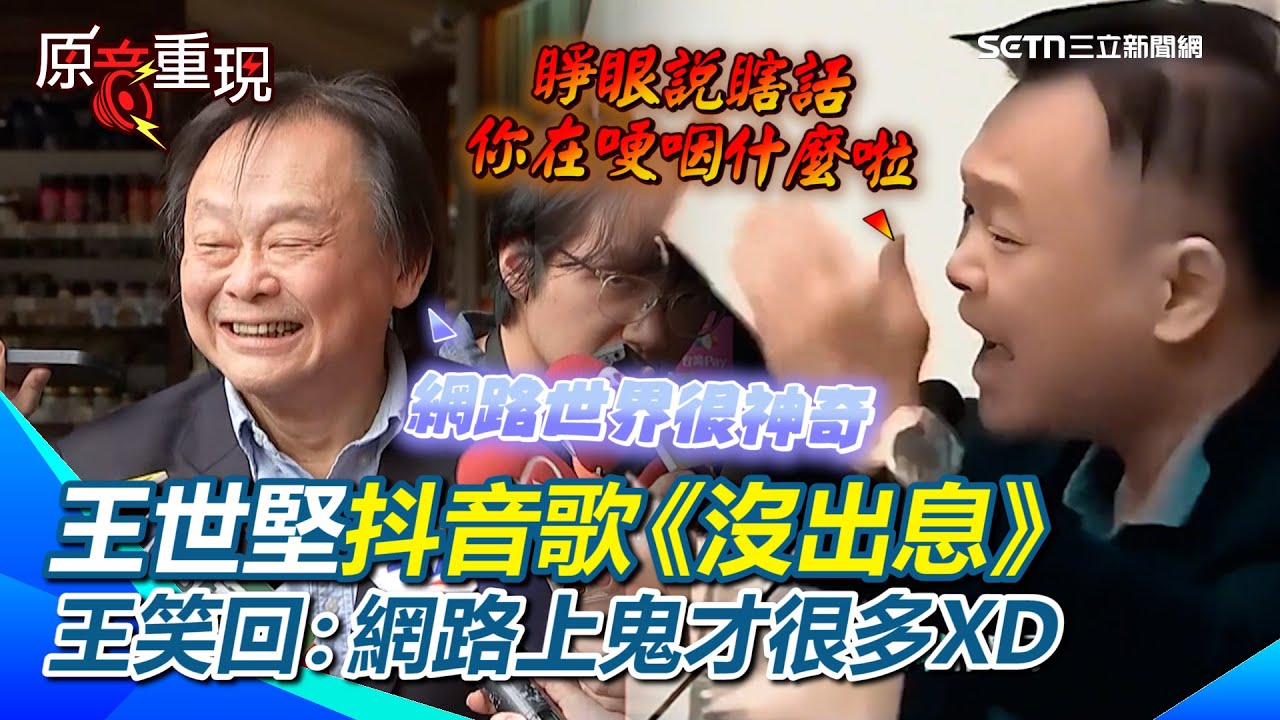 【#原音重現】王世堅昔質詢影片被網友拿來編曲抖音歌《沒出息》！王世堅笑回：網路上鬼才很多XD 喊話館長敢做敢當：照你的原汁原味嘛XD｜三立新聞網 SETN.com