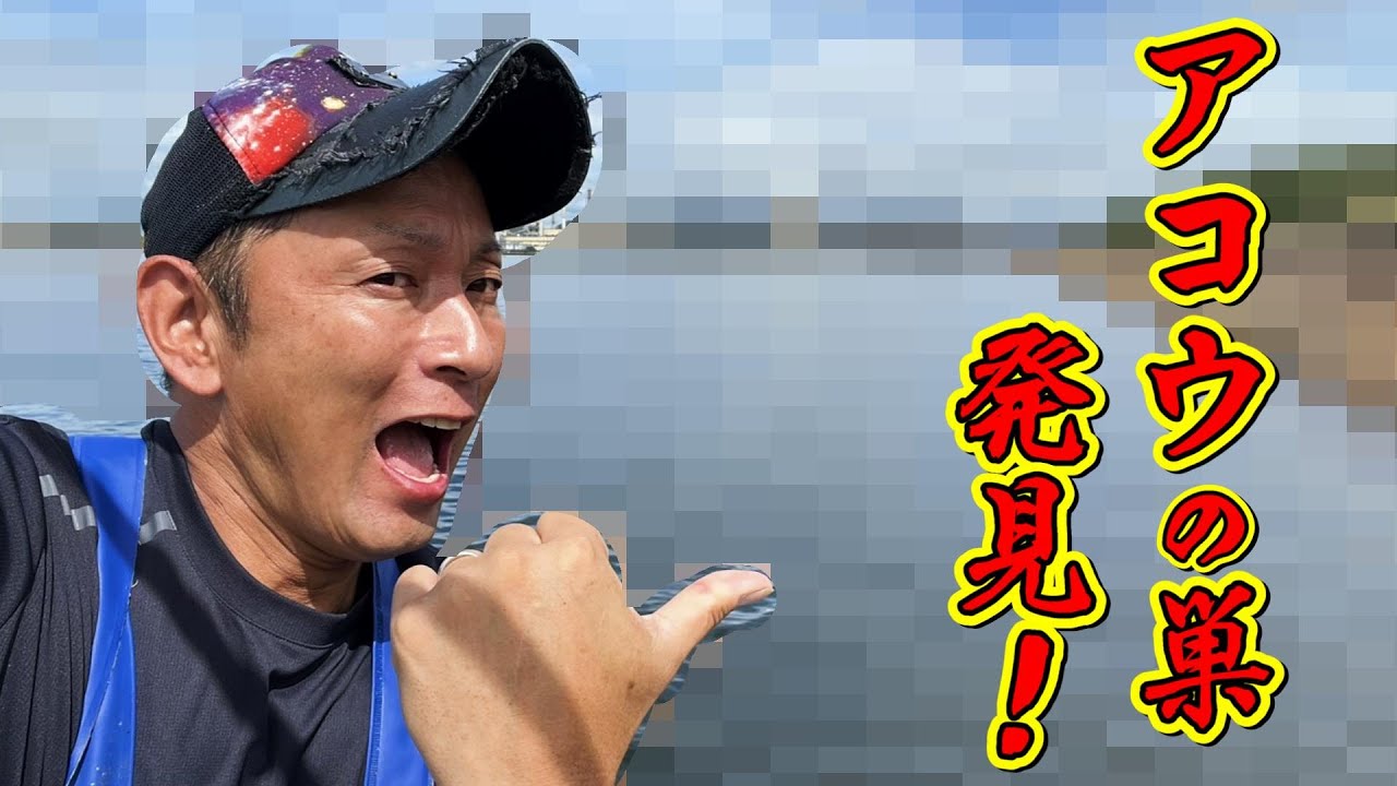 [刺網]アコウの巣発見で大漁なるか？