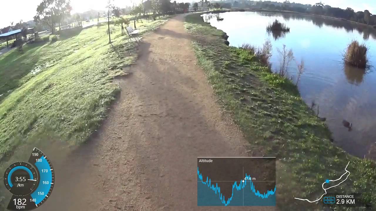 Frog Hollow Parkrun #104