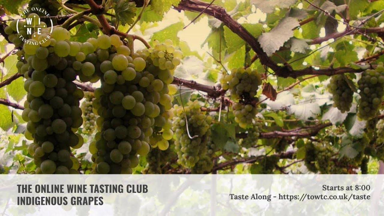 Indigenous Grapes - The Adventurer Series