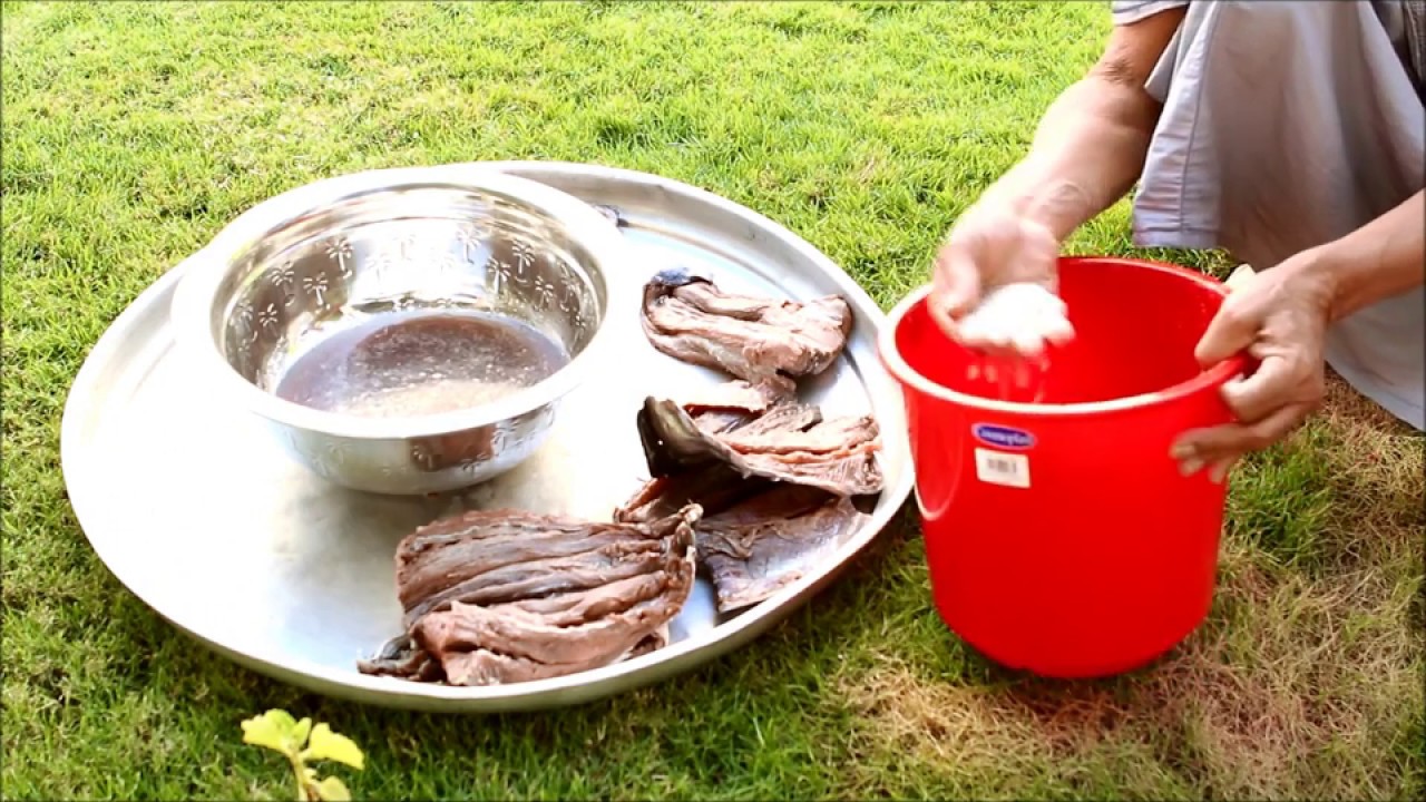 Salting Fish  تمليح السمك (المالح) في الإمارات