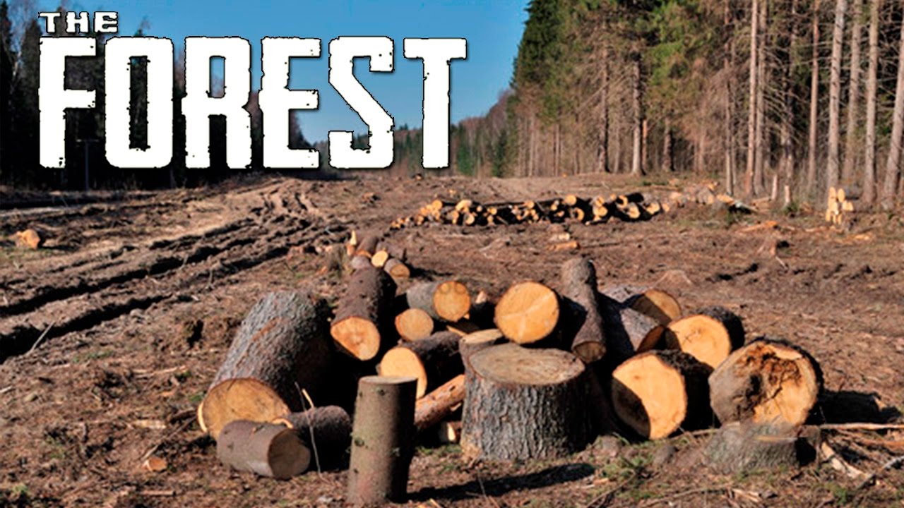 THE FOREST - ESTAMOS DESTRUINDO A FLORESTA, NÃO VAI SOBRAR NADA