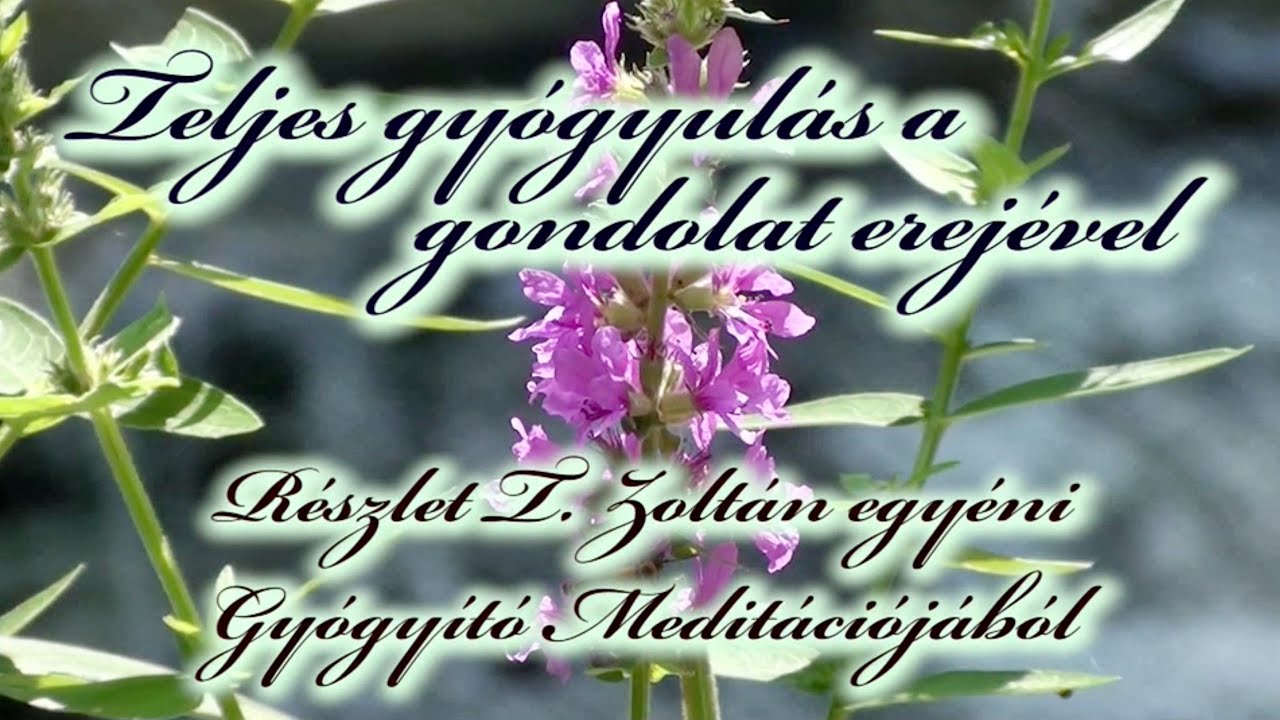 Gyógyító meditáció -Teljes gyógyulás a gondolat erejével