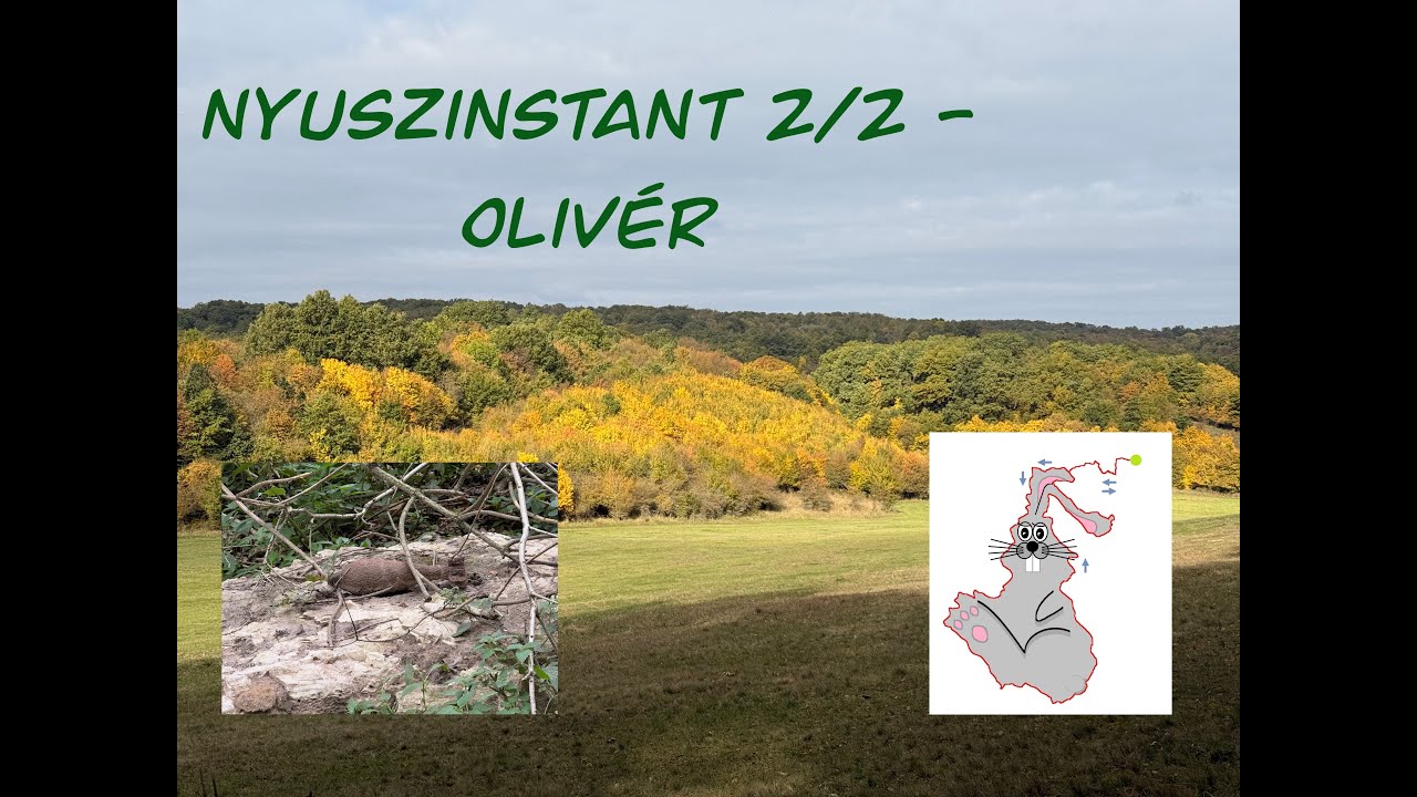 Nyuszinstant 2/2 - Olivér 78 km | Nyuszinstant Vértes