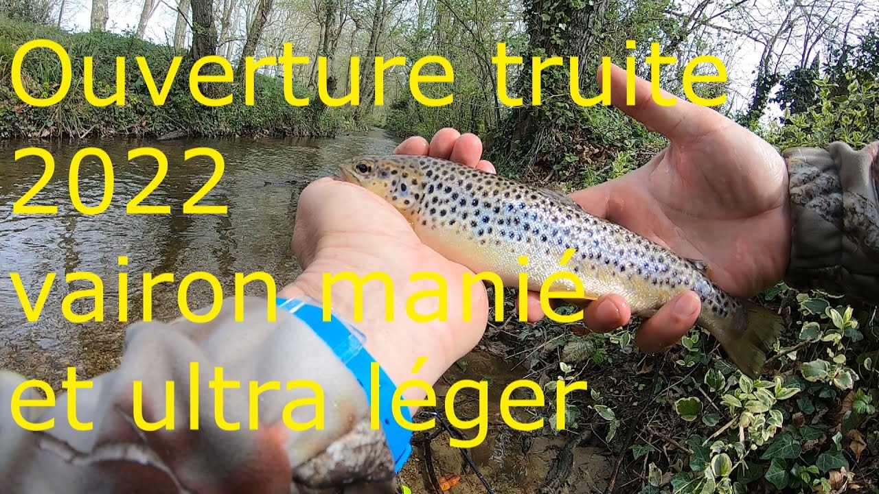 OUVERTURE TRUITE VAIRON MANIE ET ULTRA LEGER
