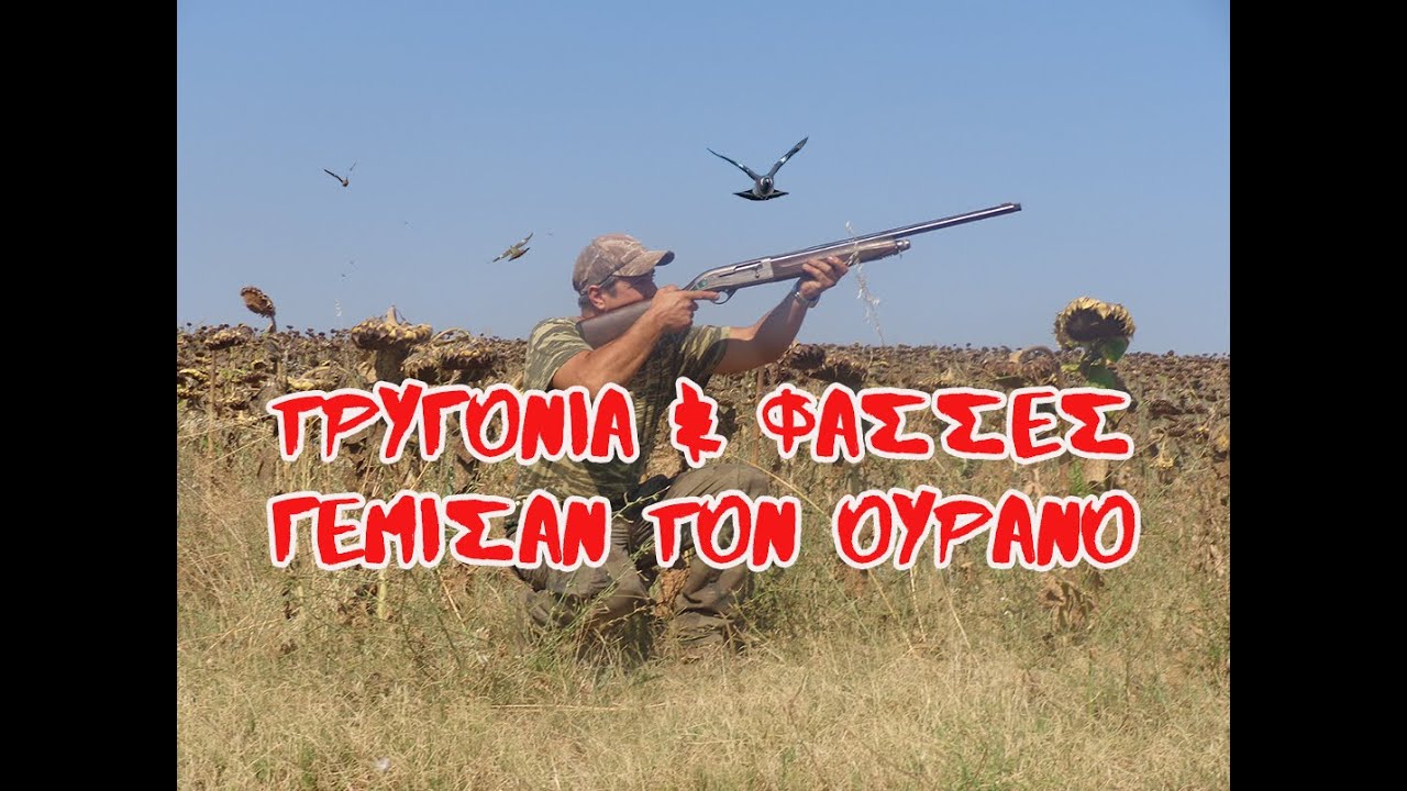 ΤΡΥΓΟΝΙΑ ΚΑΙ ΦΑΣΣΕΣ ΓΕΜΙΣΑΝ ΤΟΝ ΟΥΡΑΝΟ