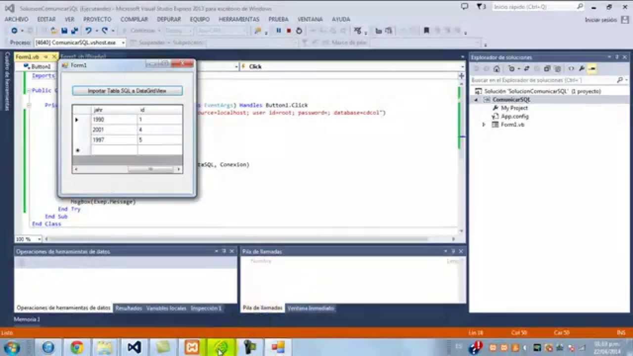 Conectar MySQL con Visual Basic .NET 2013 (Usando el objeto DataGridView)