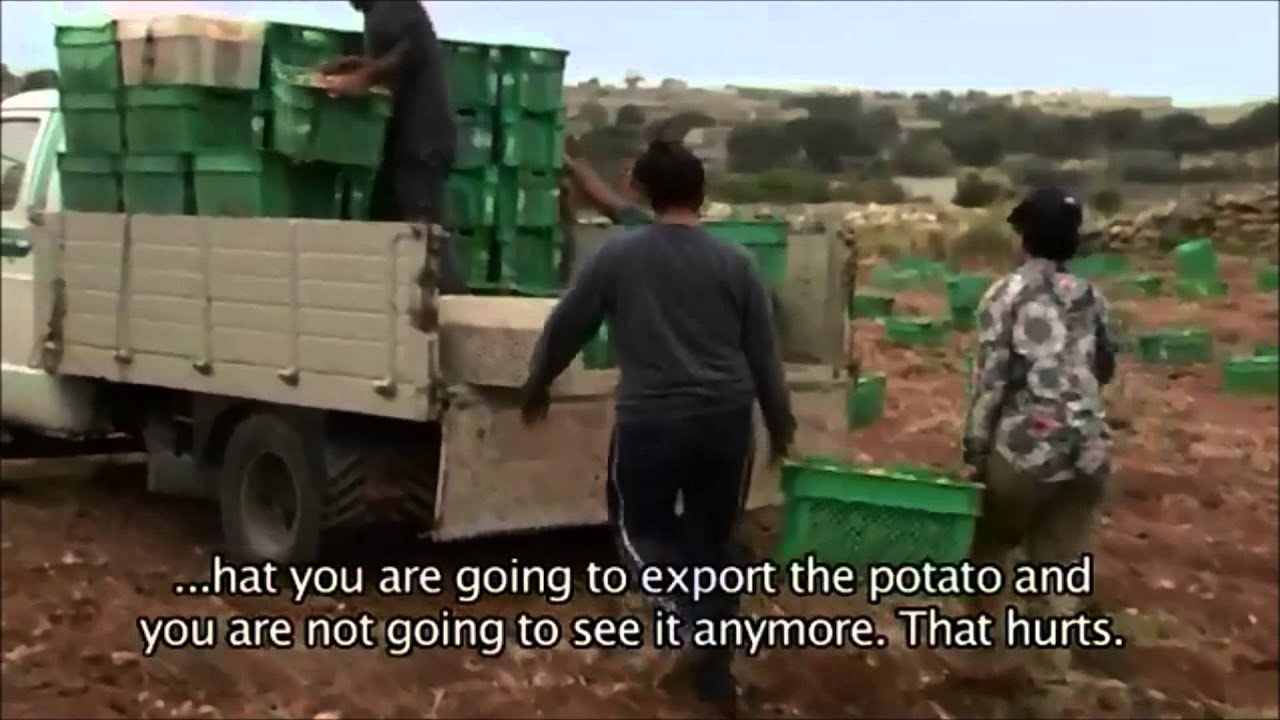 My life is potato