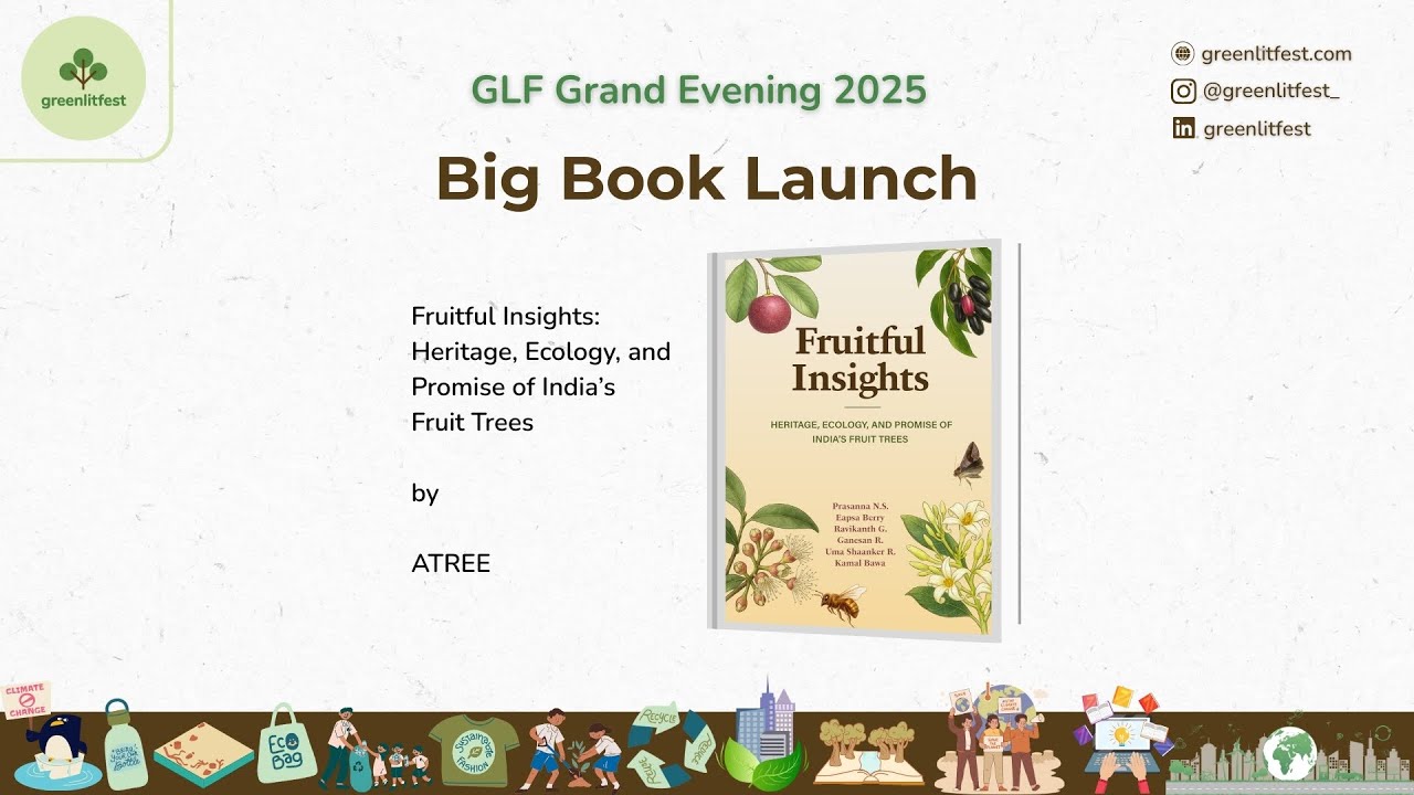Big Book Launch - Fruitful Insights