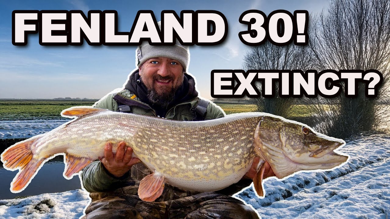 Top Tips for Catching Pike, Zander, and Perch