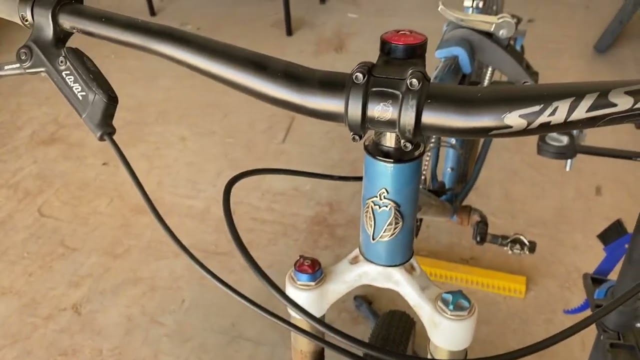 Salsa El Mariachi Single Speed