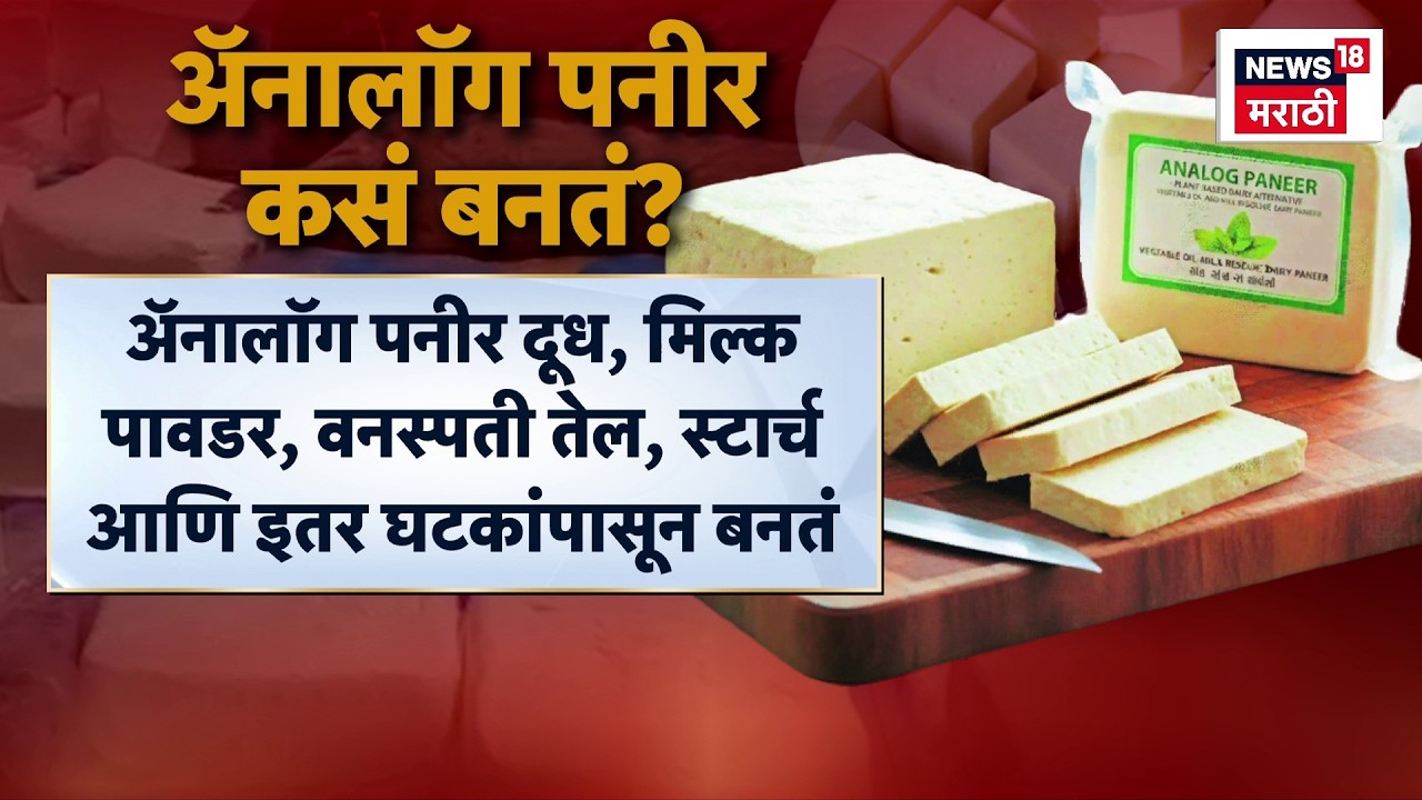 FDA Banned Analogue Paneer | Tukaram Mundhe यांनी बंदी घातलेल्या ॲनालॉग आणि अस्सल पनीरमध्ये काय फरक?