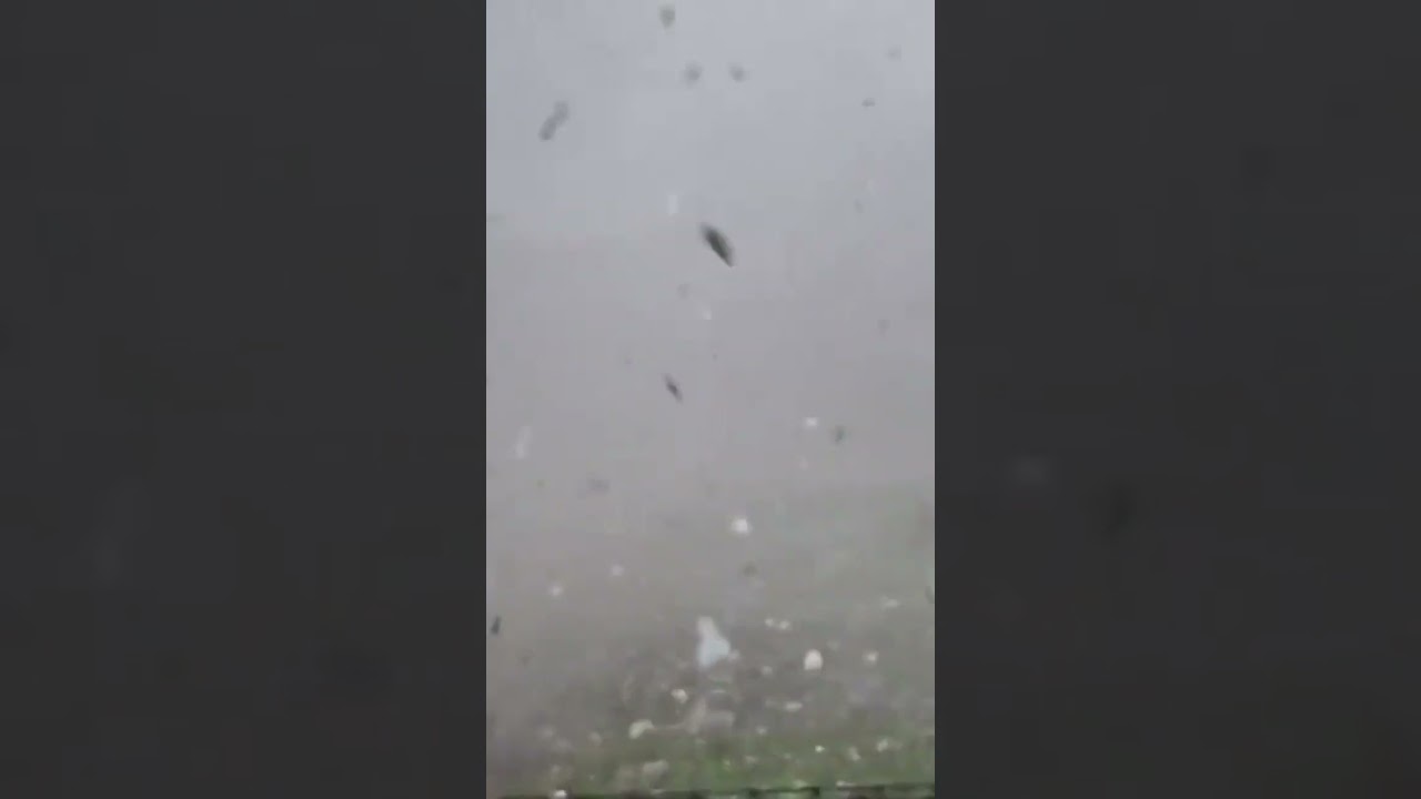 Hailstorm in Germany 🇩🇪 #germany #hailstorm #rain