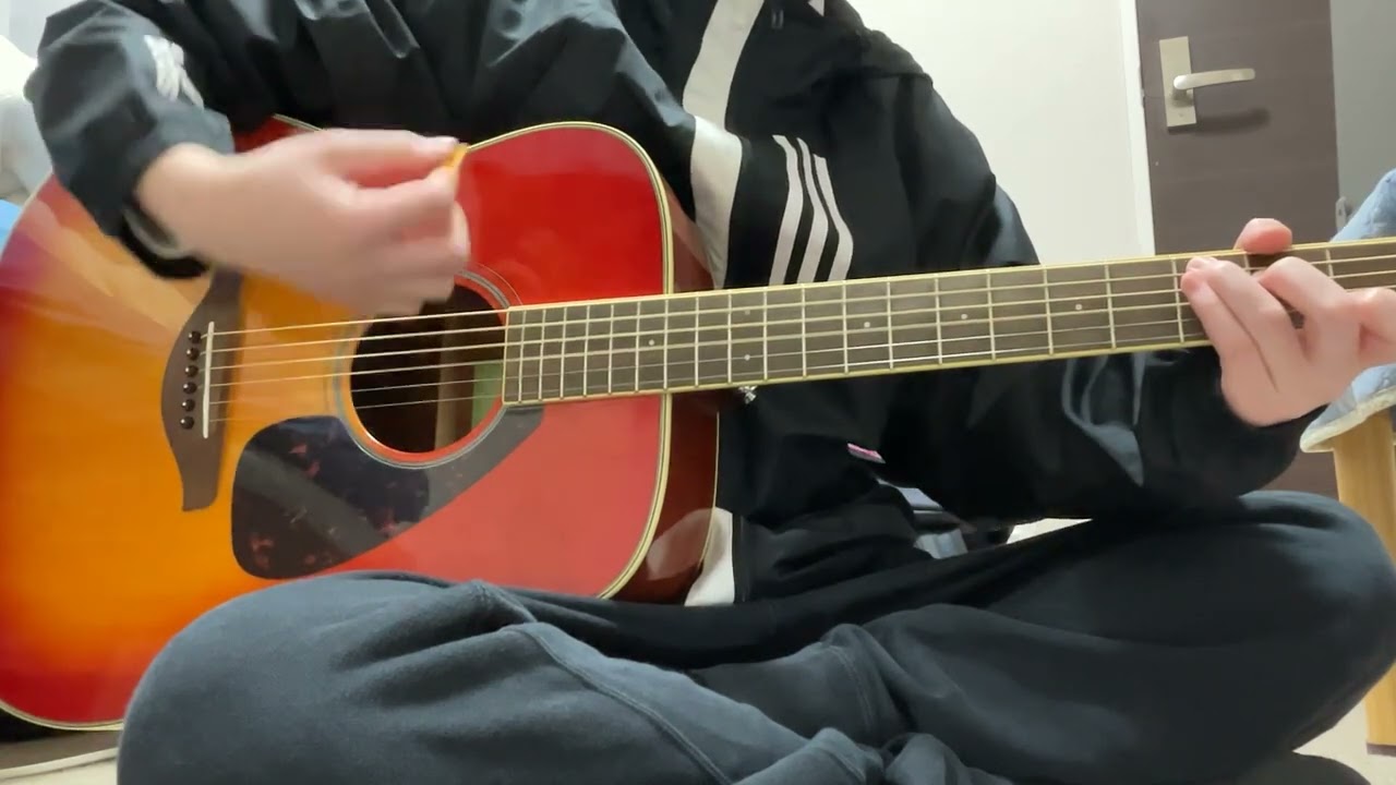金星　ELLEGARDEN 弾き語りcover