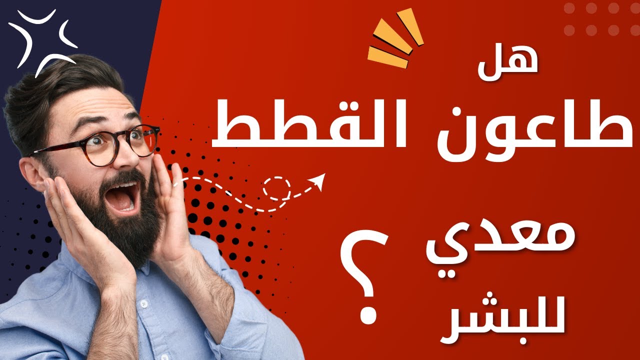 هل طاعون القطط معدي للبشر ؟