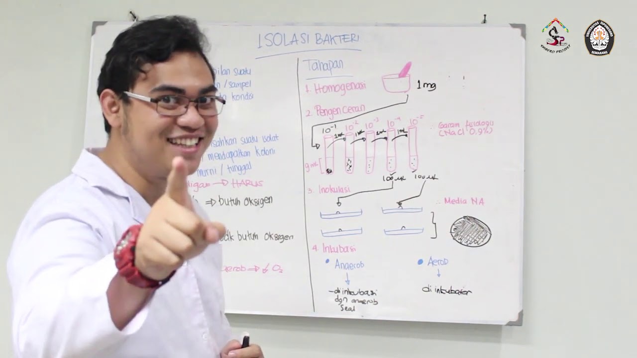 Praktikum Mikrobiologi Dasar-Pertemuan III: Isolasi dan Purifikasi Bakteri