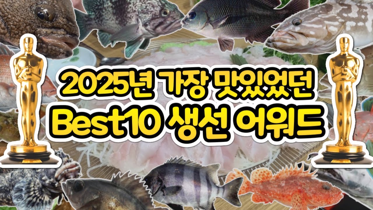 올해 최고의 수산물 Best10! 수산물 유투버의 2025년 연말 결산