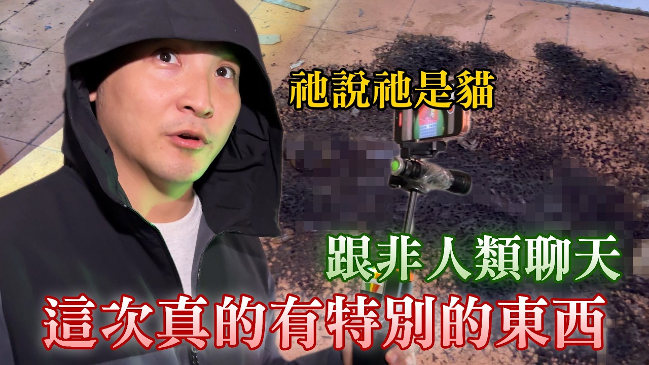 這棟廢棄大樓到底是幹嘛的，有屍體、住家、診所，地下室還有不明小房間？！【谷阿莫Life】332