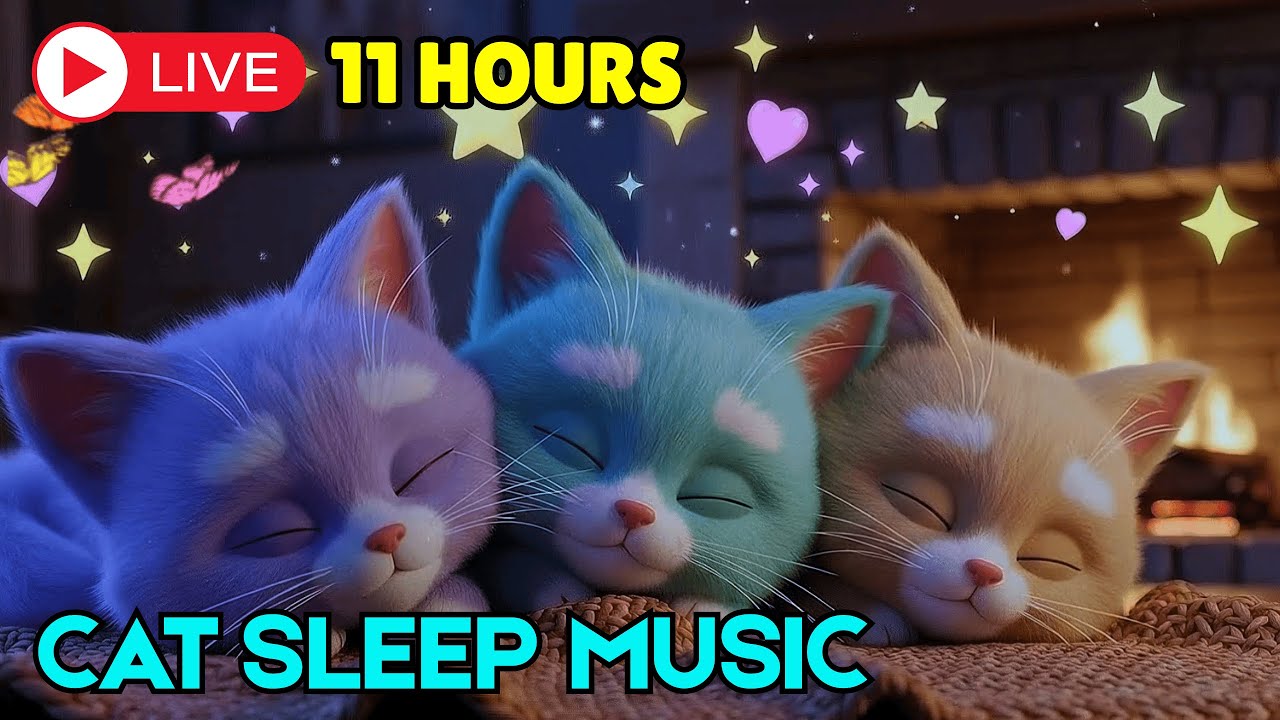 Piano Music for Cats Sleep Support | 11 Hour Calming Relaxing Piano for Anxiety