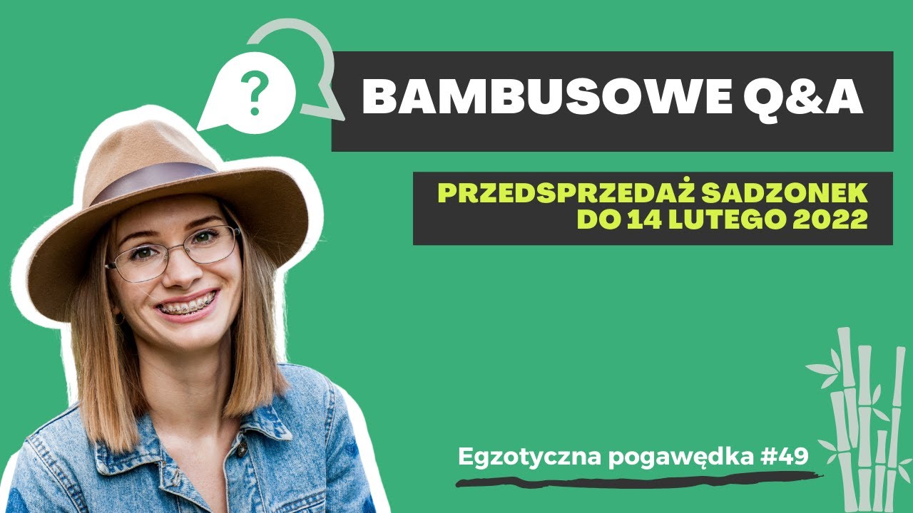 Bambusowe Q&A (Przedsprzedaż sadzonek bambusów) | Egzotyczna Pogawędka #49
