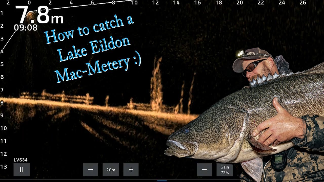 How to catch a Lake Eildon Mac-Metery