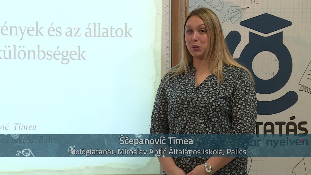 A baktériumok, a növények és az állatok sejtjei közötti különbségek