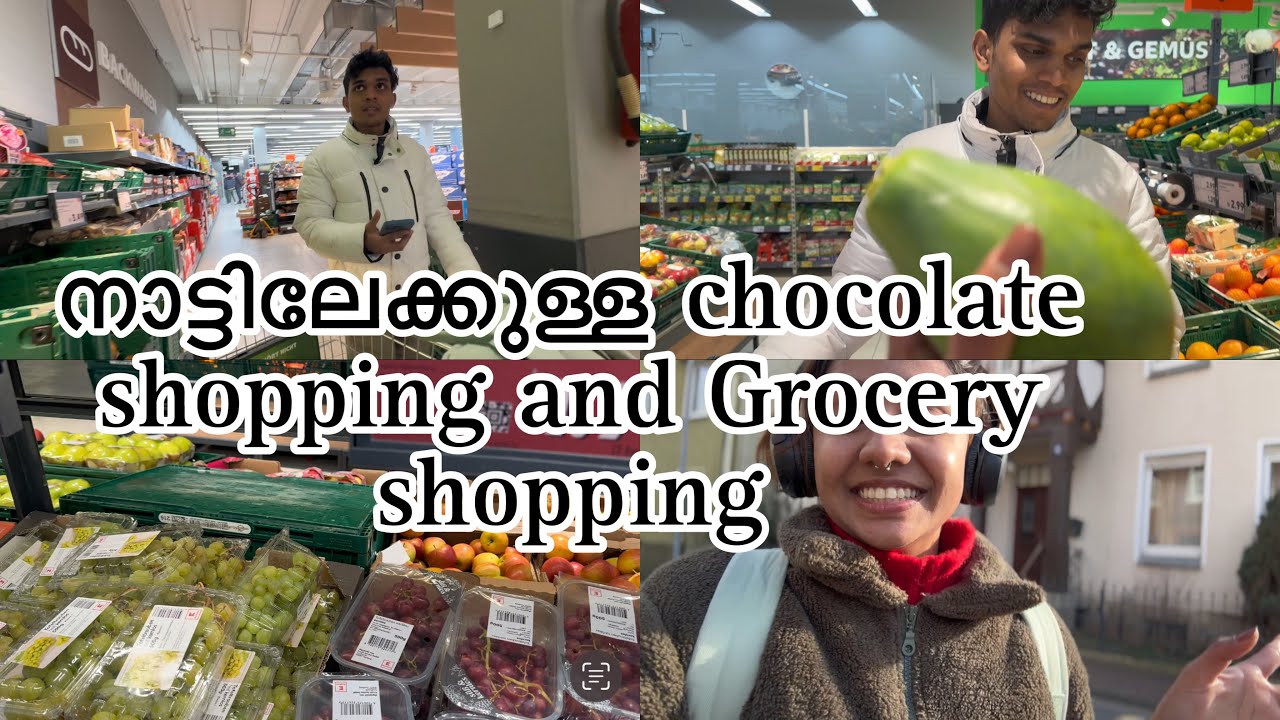 Grocery shopping in Germany Malayalam || prices of groceries in Germany || Lisna Latheef