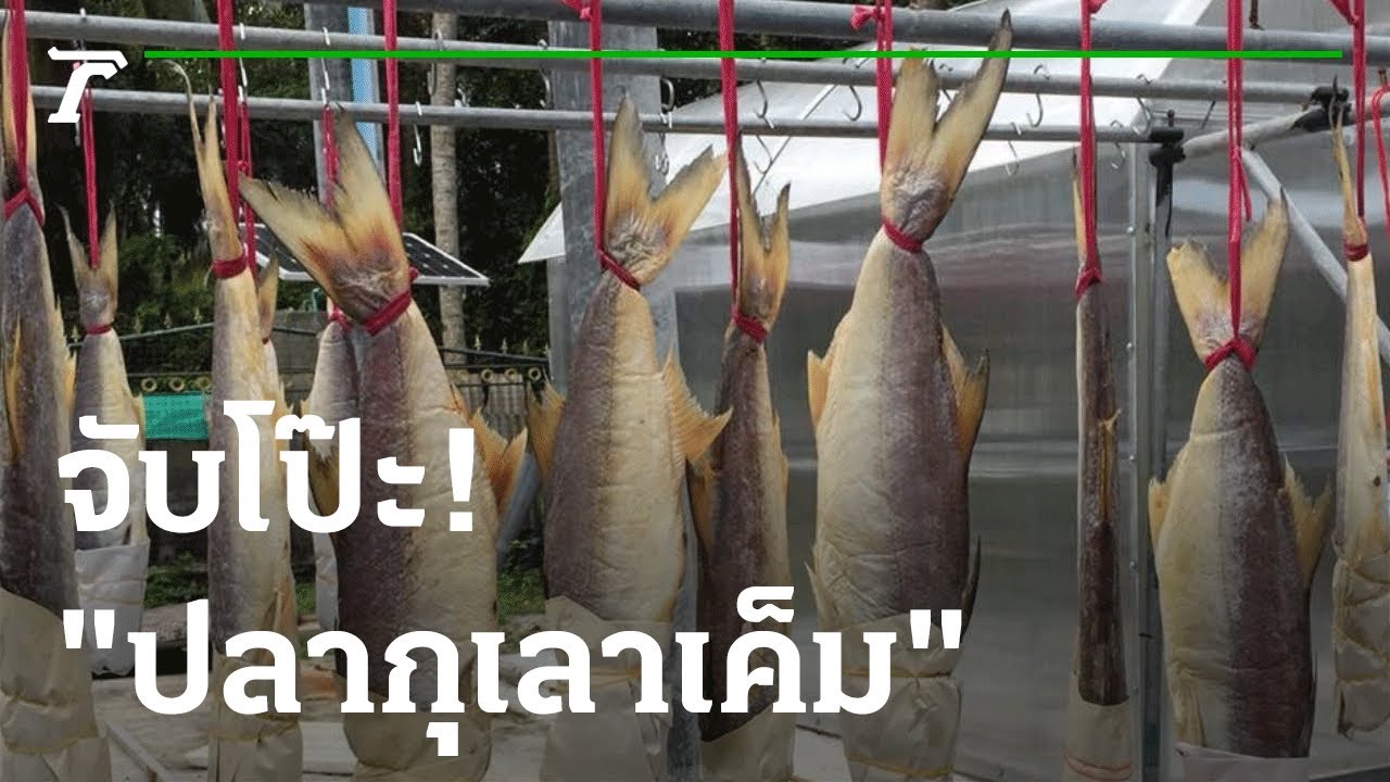 ดราม่า 