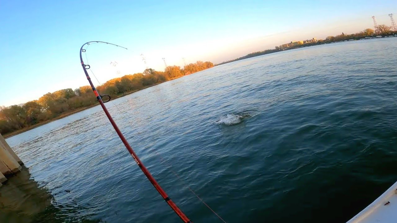 SUTUKA NA KEDERA TAKOZVANO MUVANJE - PIKE FISHING