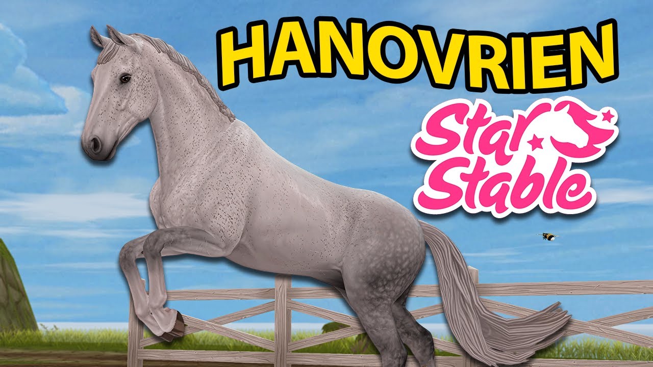 ACHAT DE L'HANOVRIEN | Star Stable - SSO