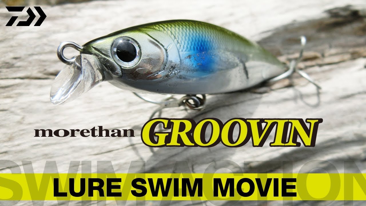 DAIWA / GROOVIN 水中映像 【FIMO LURE LAB】