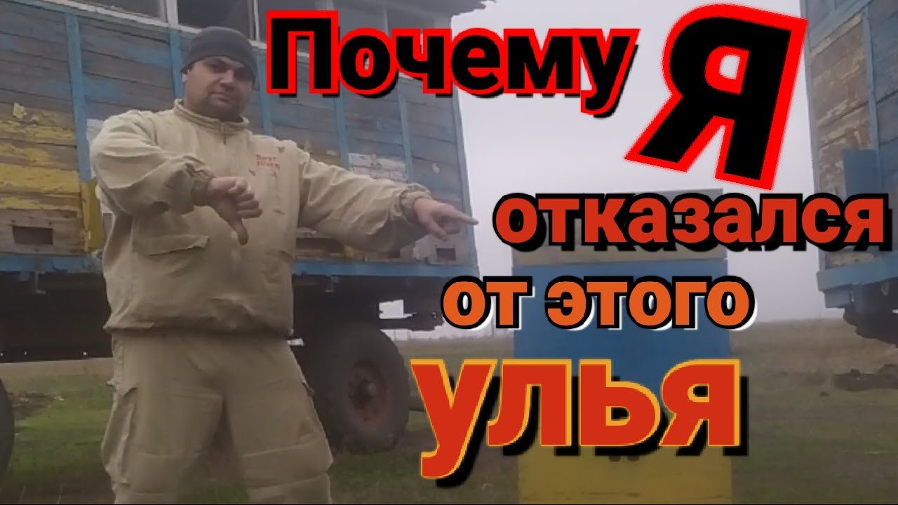Почему я отказался от улья на 3 корпуса. Советы начинающим.