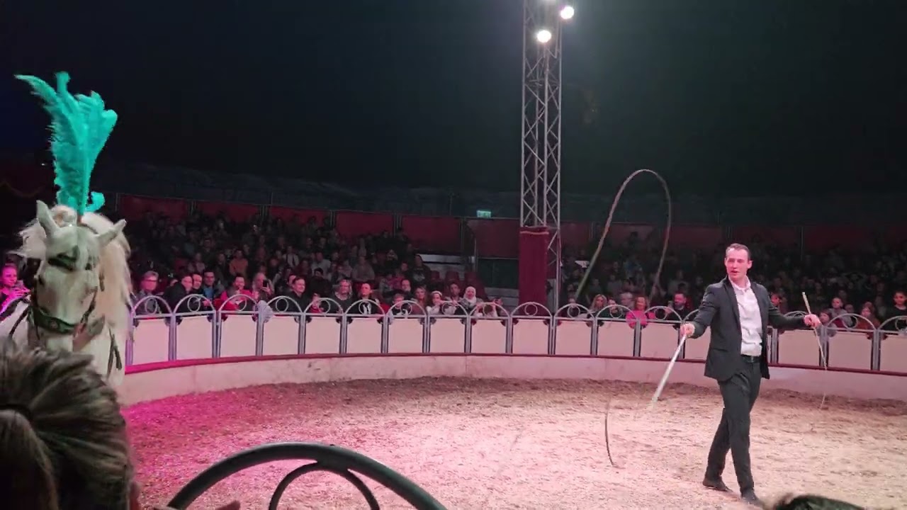 Zirkus Pferde 😊