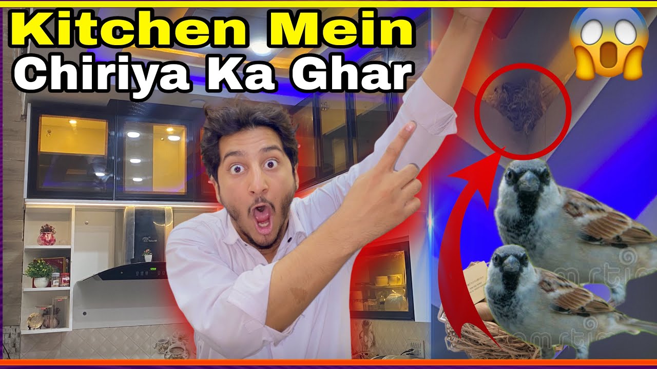 Upar Se Aayi Chiriya Aur Hamare Kitchen Mein Ghonsla Bana Liya 😱 Ramzan Day 8