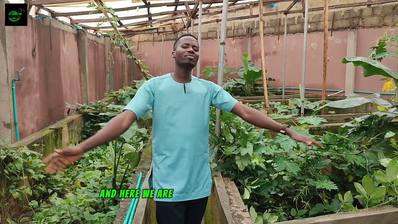 Some Secret Tips To Note Before Stocking a Snail Farm