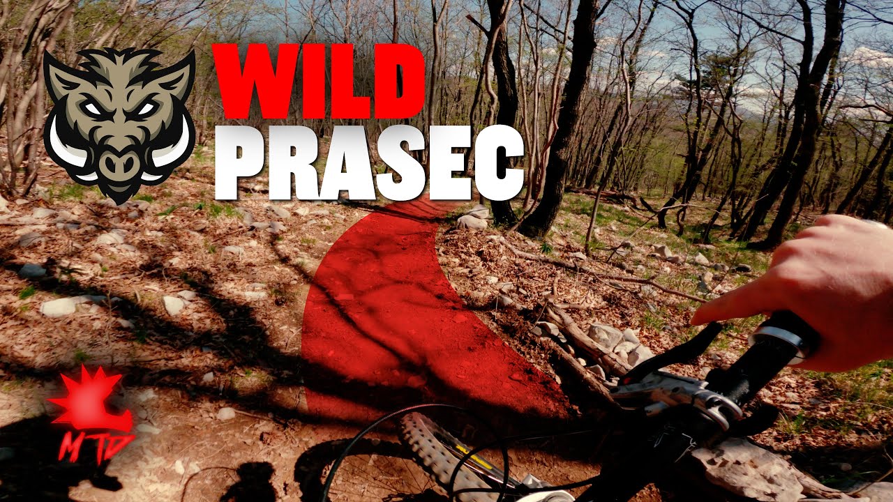 MTB Trieste - Wild Prasec mountain bike trail, Cocusso Kokos