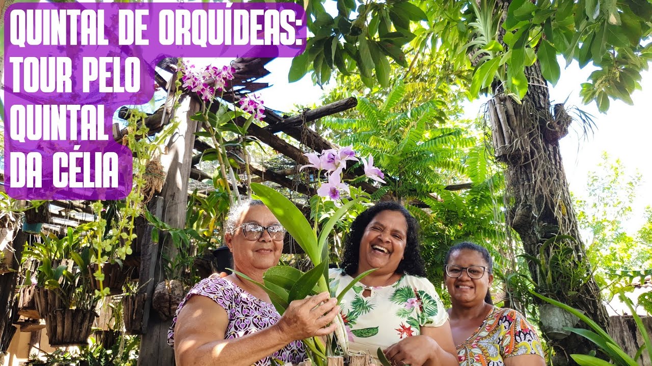 TOUR PELO QUINTAL DA CÉLIA: UM QUINTAL COM CENTENAS DE ORQUÍDEAS | DICAS DE COMO CULTIVAR ORQUÍDEAS