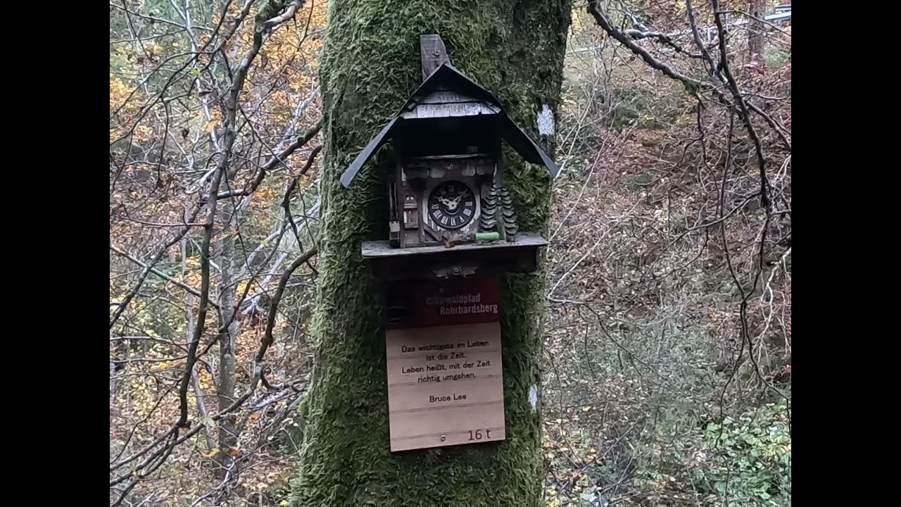 Genießerpfad Uhrwaldpfad Rohrhardsberg Schonach im Schwarzwald