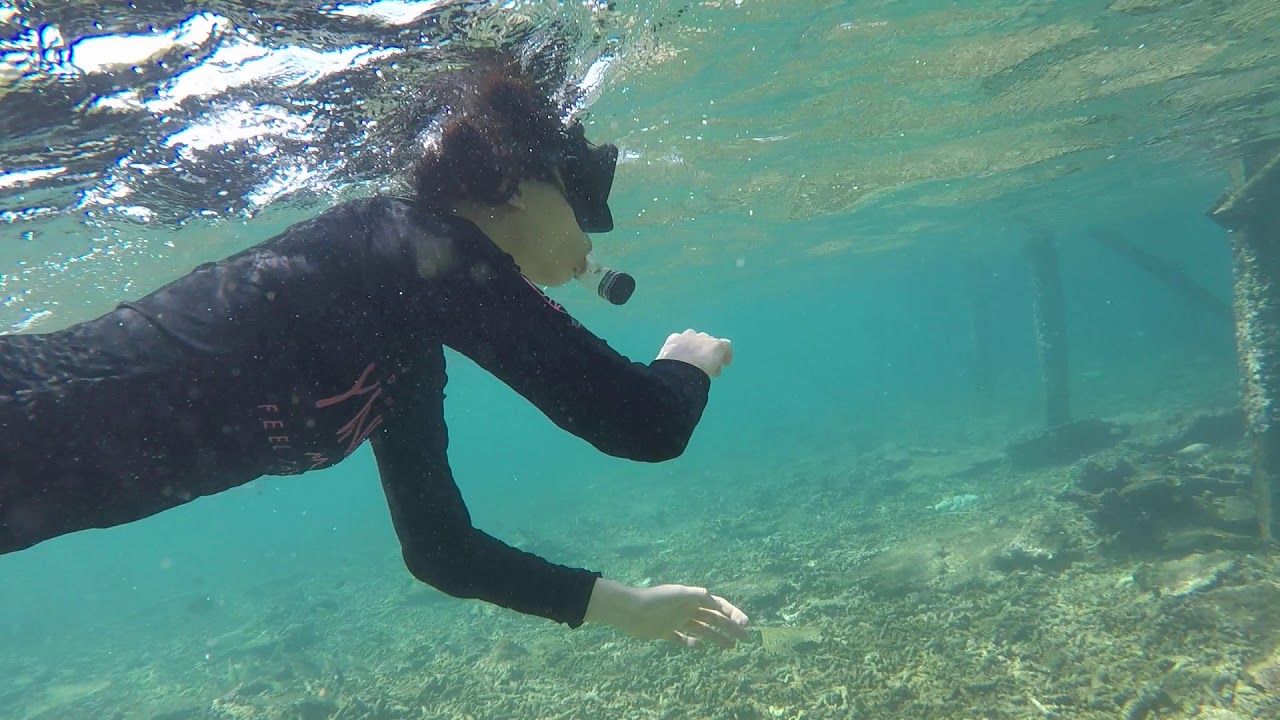 Snorkeling in Minang Cove Resort of Tioman Island