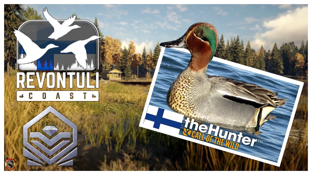🦌REVONTULI COAST 2023 - SIMO CESA CAZA LIBRE EN DIRECTO Y DIAMANTE 🦌 the hunter call of the wild