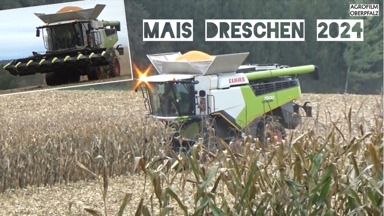 Maisdreschen TOTAL - Claas Lexion 7500 TT mit Olimac Drago GT Maispflücker - LU Pommer
