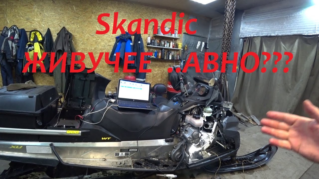 Скандик 600 Е тек  Живучее Гавно ???