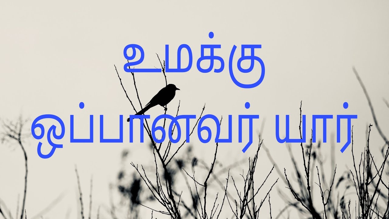நற்செய்தி பெருவிழா களப்பாளன் குளம்
