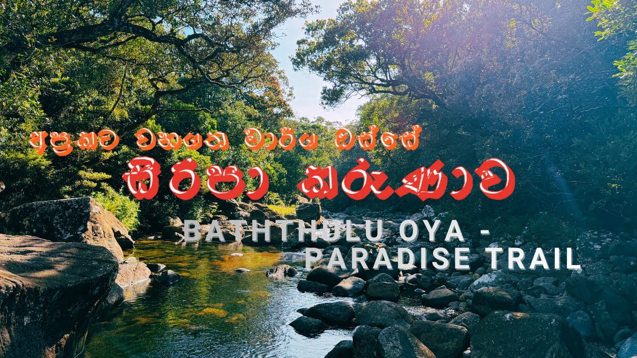 අප්‍රකට වනගත මාර්ග ඔස්සේ සිරිපා කරණාව - බත්තුලු ඔය දිගේ | Baththulu oya - Paeadise ella trail 😍