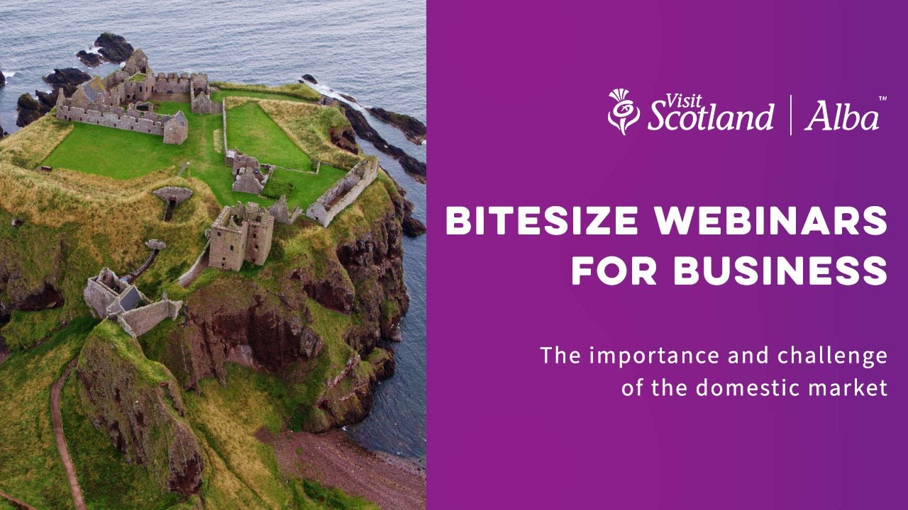 Bitesize Webinars for Business | The Importance and Challenge of the Domestic Market
