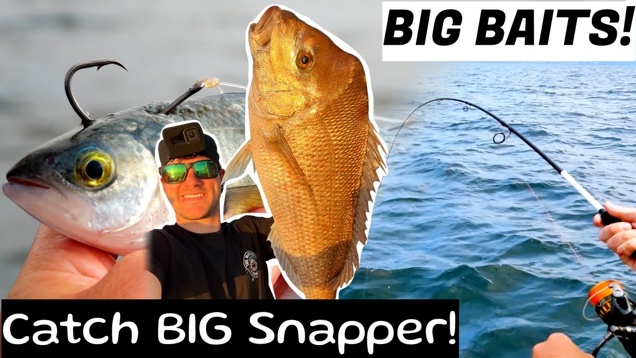 Fresh BIG Baits Catch BIG Fish!?! Bait Fishing For Snapper in Port Phillip Bay